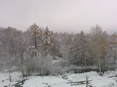 2015-10-08 15.34.52